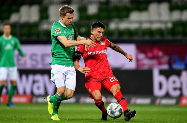 合同情况 合同情况