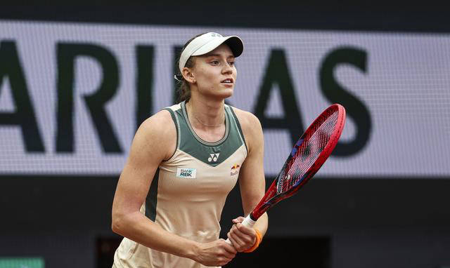 布朗质疑判 布朗质疑判